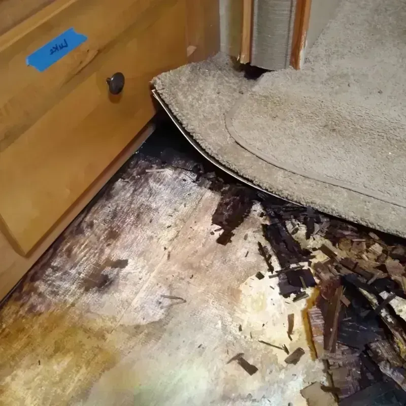 Wood Floor Water Damage in Oakville, MO